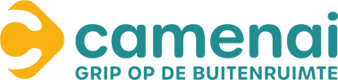 Camenai logo-payoff