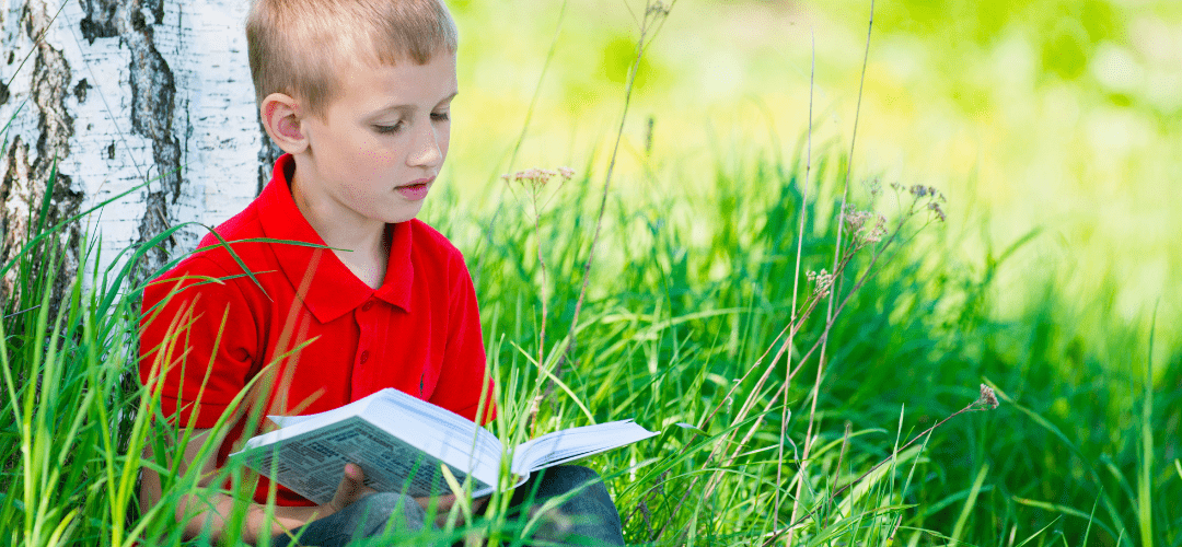 Pientere Tuinen – Scholen gezocht!