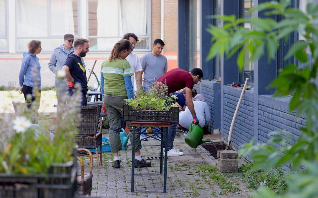 Meer dan meten: Biodiversiteit en gemeenschap opbouwen in ‘Groene Buurt, Koele Buurt’