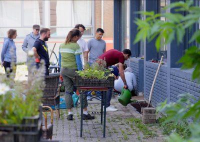 Meer dan meten: Biodiversiteit en gemeenschap opbouwen in ‘Groene Buurt, Koele Buurt’