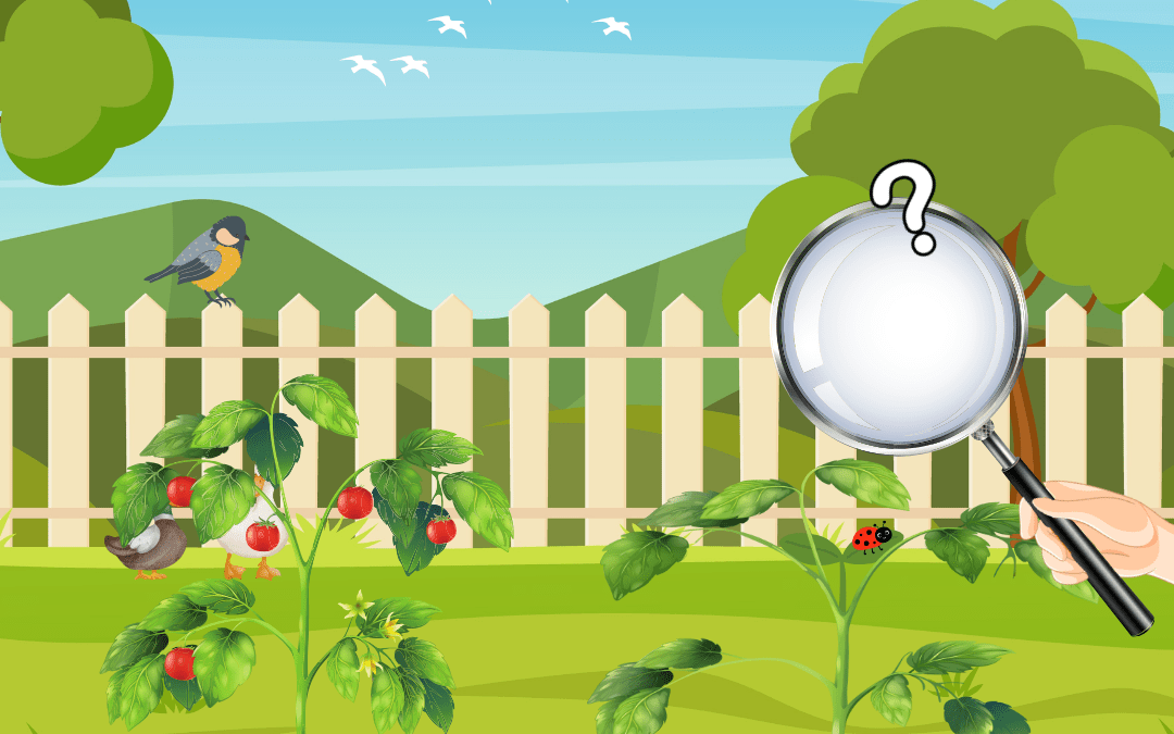 Hoe goed ken jij je eigen tuin? Ontdek het met Tuinrapport!