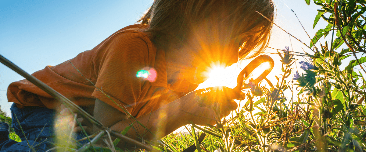 Banner iVN Pesticidevrij