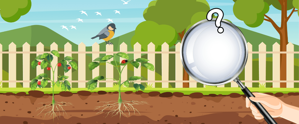 Tuinreport Pesticidevrij