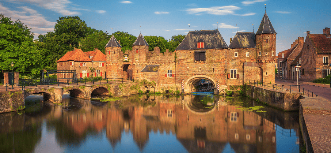 Interview met stadsecoloog: Hoe meet je de natuur in de stad?
