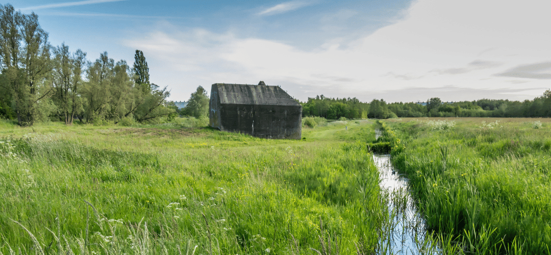 Start jouw eigen citizen science-project met steun van LEADER