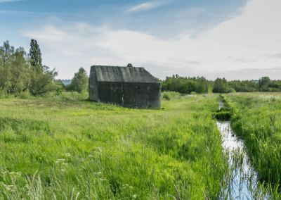 Start jouw eigen citizen science-project met steun van LEADER