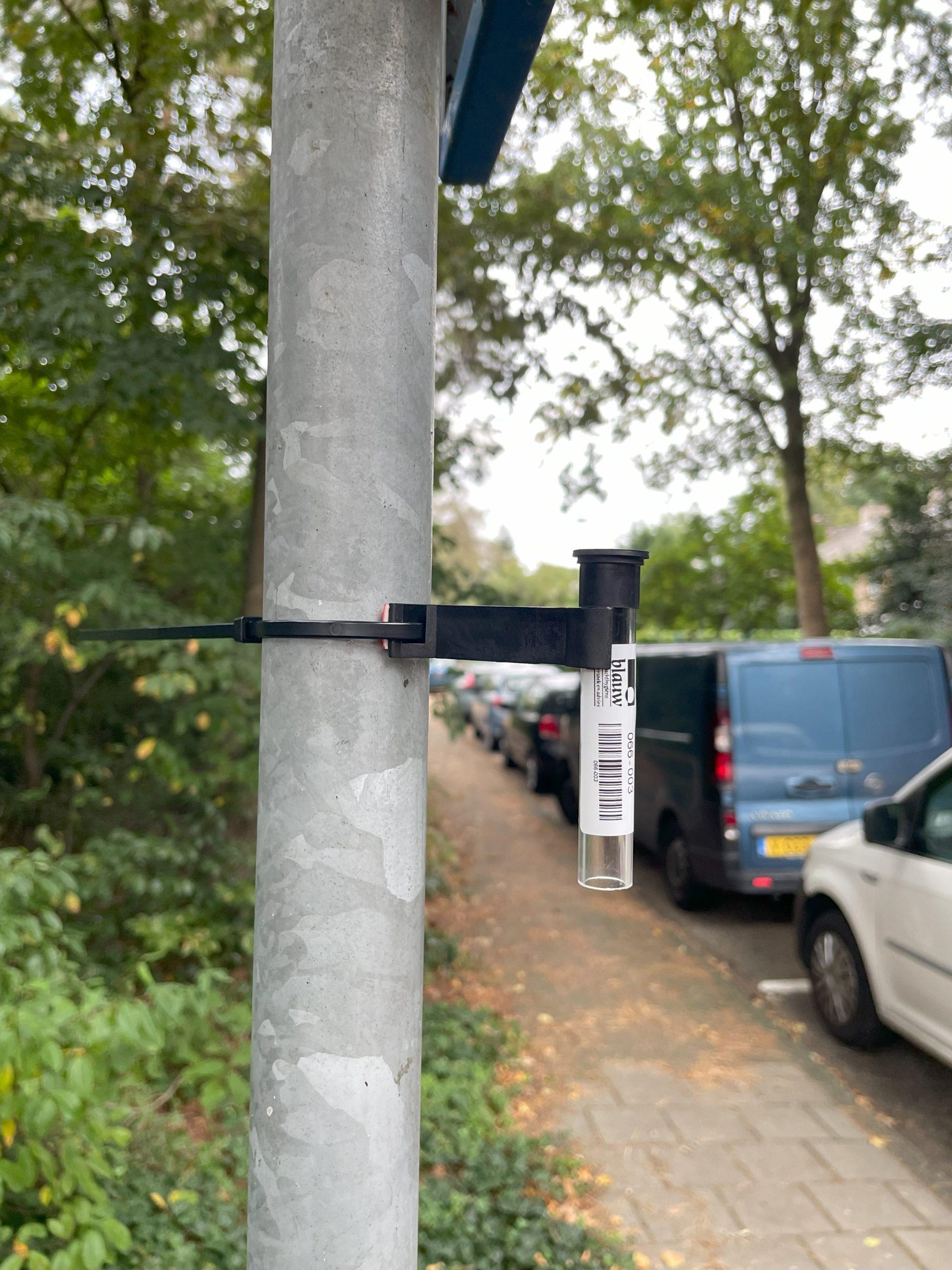 Foto palmes - zonder dop - buro blauw