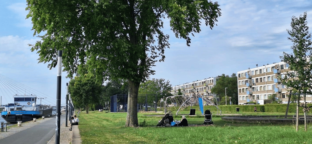 Oproep voor kunstenaars en makers: breng lokale hitteverhalen tot leven