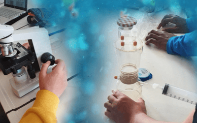 Microplastics in het water