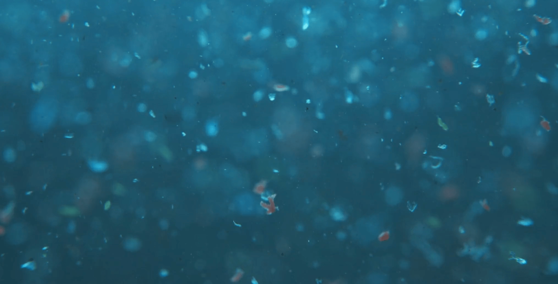 microplastics screenshot film Bernou