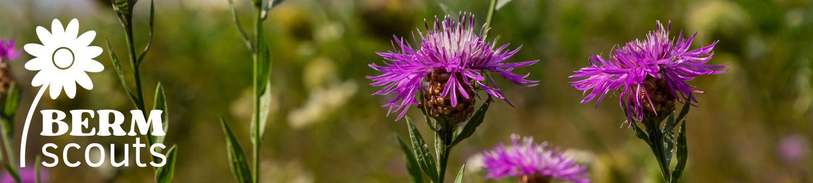 Wassen voor de Wetenschap - SMU